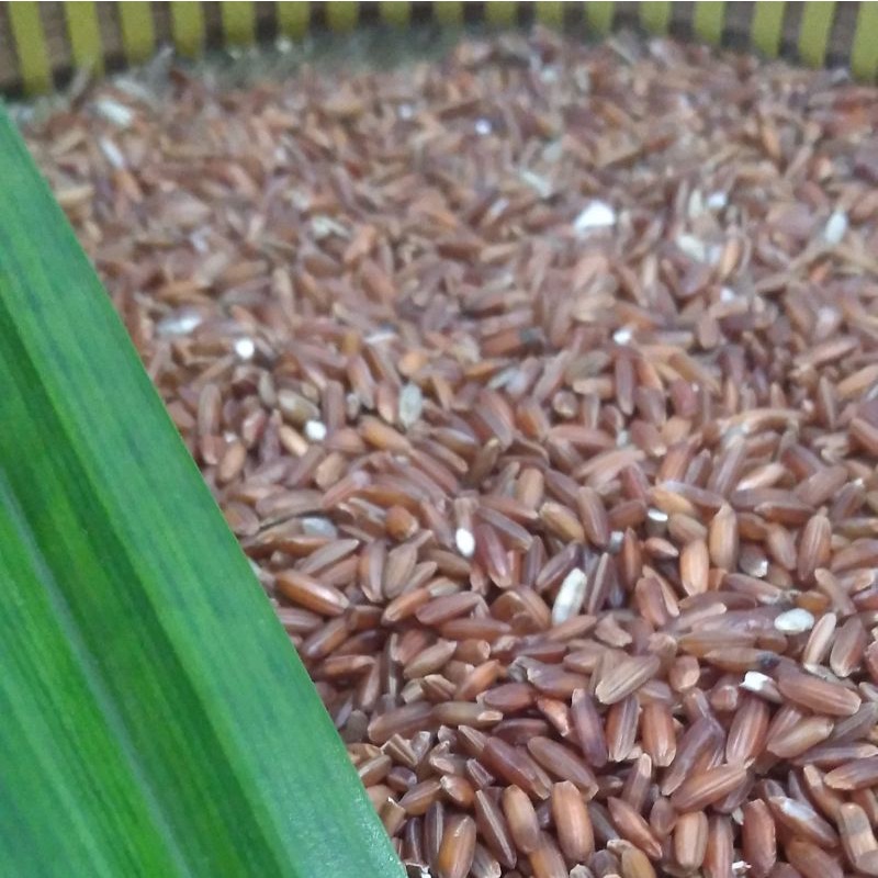 

1 kg beras merah