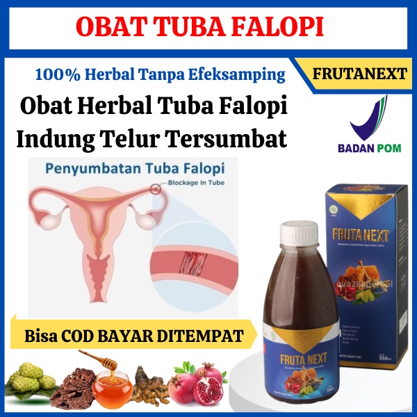 Tuba Falopi Tersumbat Obat Hidrosalping Obat Tuba Falopi Tersumbat Tuba Tersumbat Obat Penyumbatan F