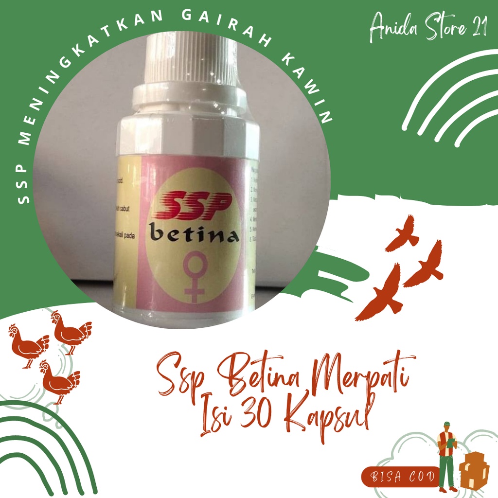 Ssp Betina Aristol Khusus Merpati Betina Isi 30 Kapsul