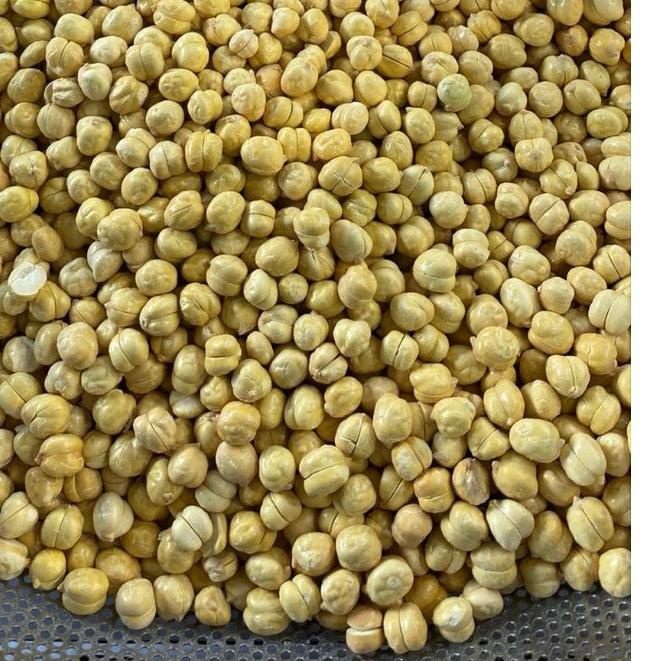 

Cek Disini--kacang arab