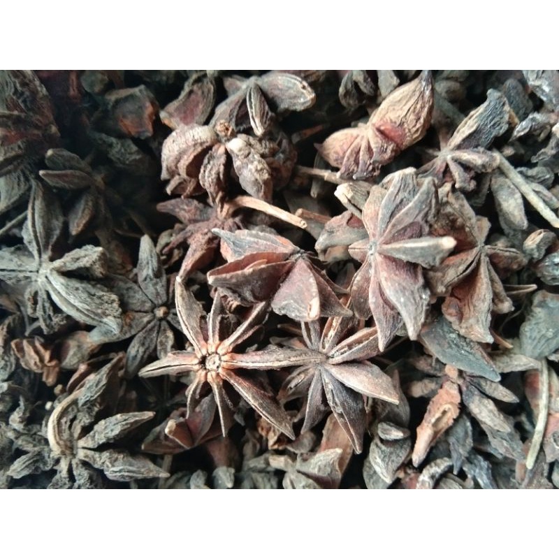 

bunga lawang / pekak 100 gram