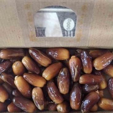 

Kurma Tunisia TUNIS 500GR Non Tangkai Deglet Noor Premium Quality Dates