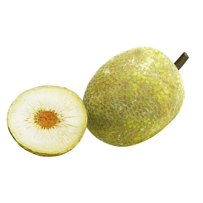 

buah sukun 1 bulat utuh