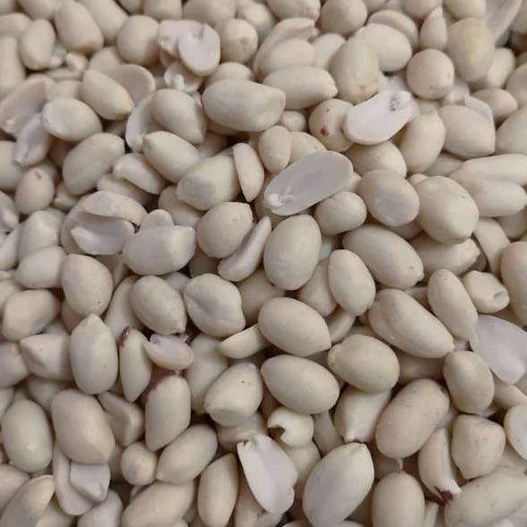 

Diskon Kacang Tanah Mentah Kupas Kualitas Super Kemasan Vacuum