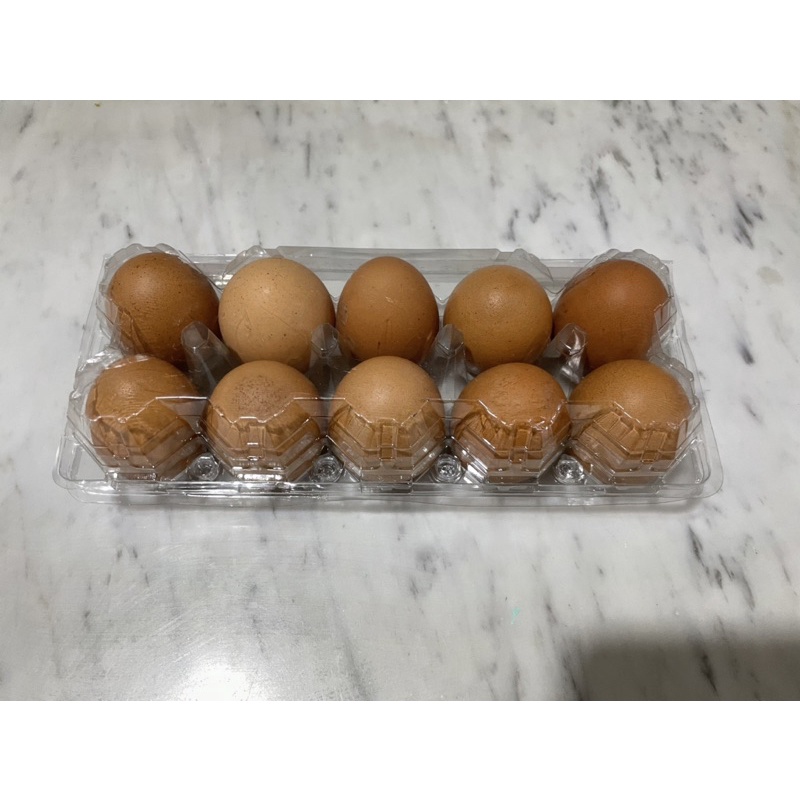 

Telur Omega-3