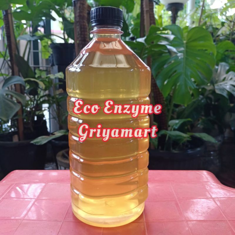 ECO ENZYME | PUPUK ORGANIK
