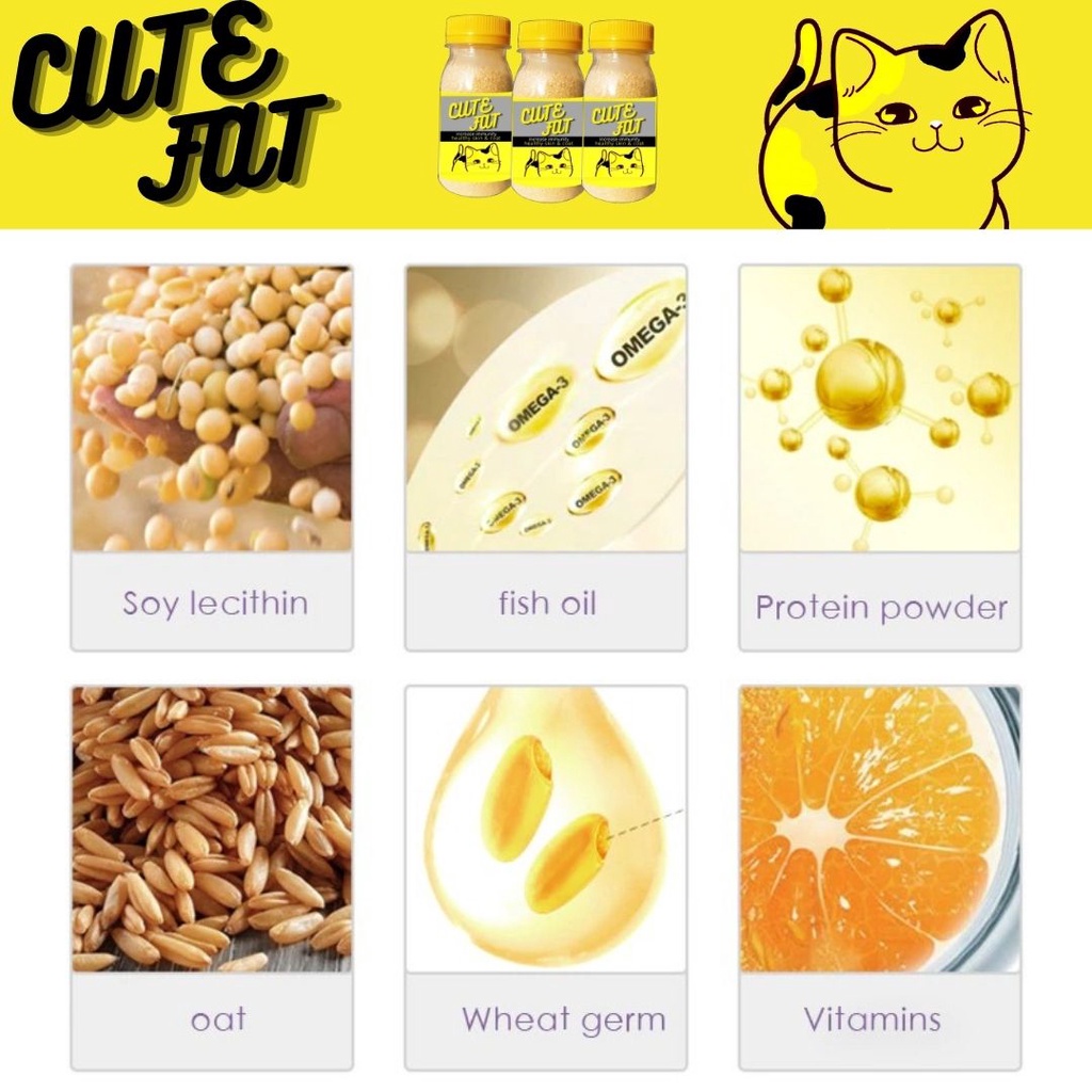 Vitamin Penggemuk Kucing CUTE FAT Pelebat Bulu Kucing Obat Penumbuh Bulu Kucing FEZONE