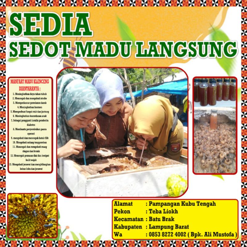 

madu asli murni lebah kelulut/kelanceng