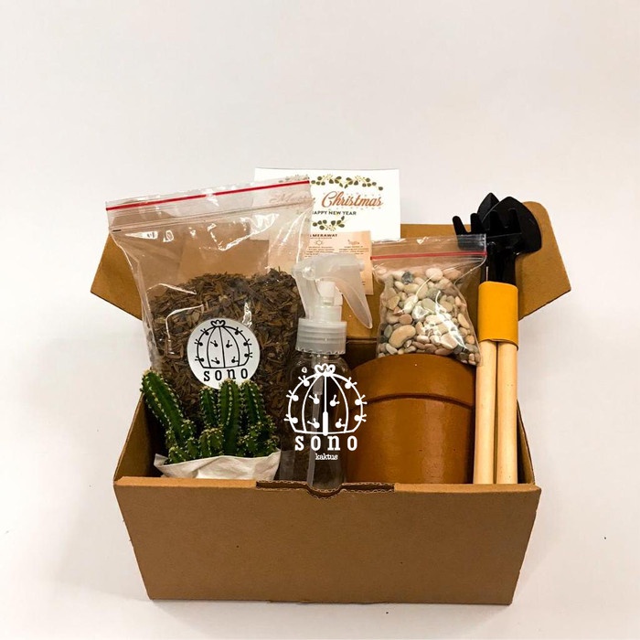 

[ COD ] Preium Hampers Kaktus & Sukulen Hias Mini (Paket 2)