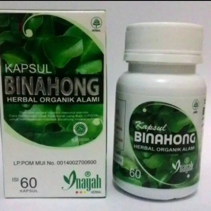 

kapsul daun binahong inayah