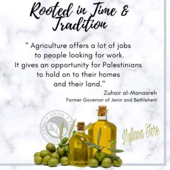 

Kode5b5Ap--Extra Virgin Olive Oil Murni Tanpa Campuran dari Palestina 250ml Ariha