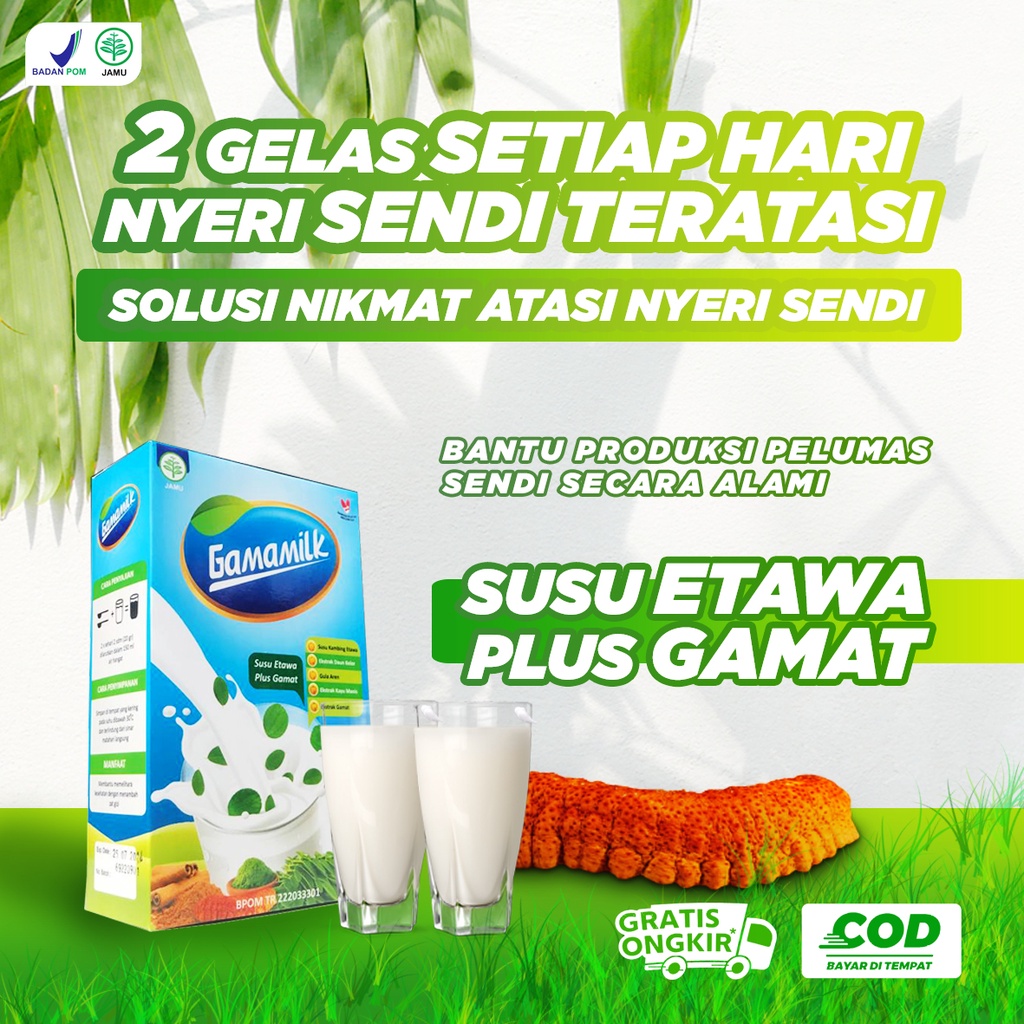 (2 BOX) Gamamilk Susu Etawa Solusi Atasi Nyeri Lutut, Nyeri Sendi, Asam Urat, Rematik dengan Herbal Pilihan