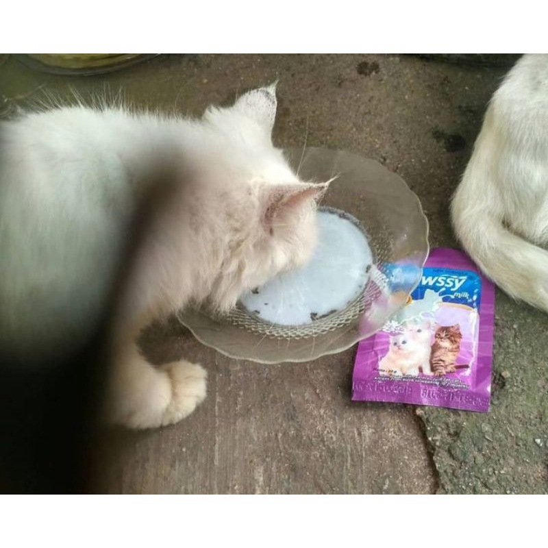 SUSU KUCING GROWSSY MILK 20gr SACHET || KITTEN CAT 20 GRAM BABY MILK