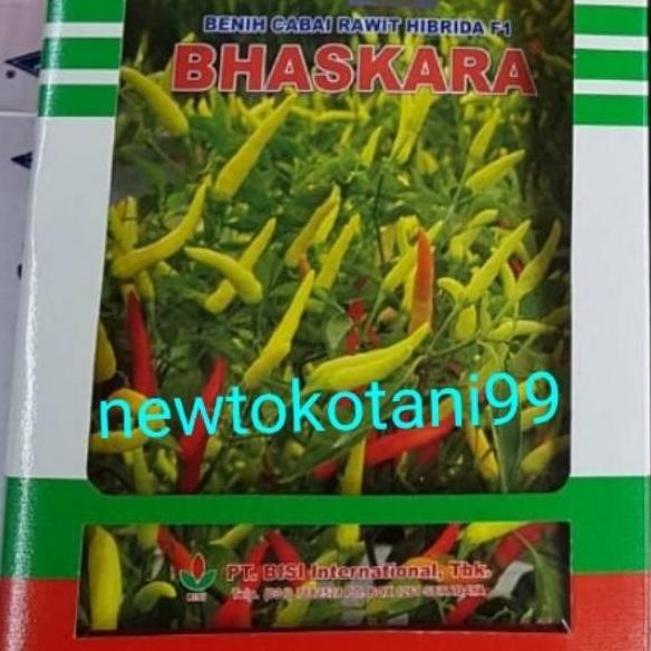 Penjualan Terbaiik Benih cabe rawit putih hibrida BHASKARA F1 10 gram cabai baskara f1 10gr dari bis