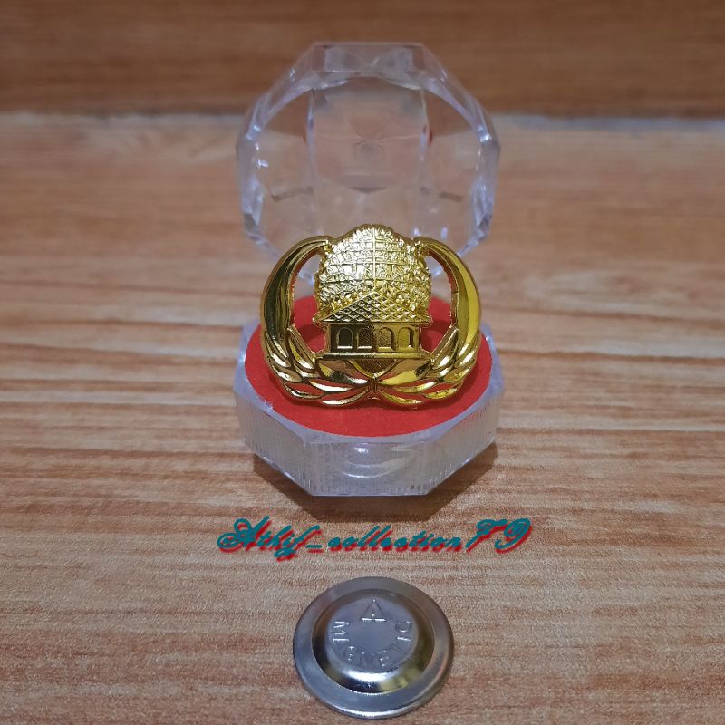 Pin Korpri ASN Kuningan Magnet Pin PNS + Box Pin