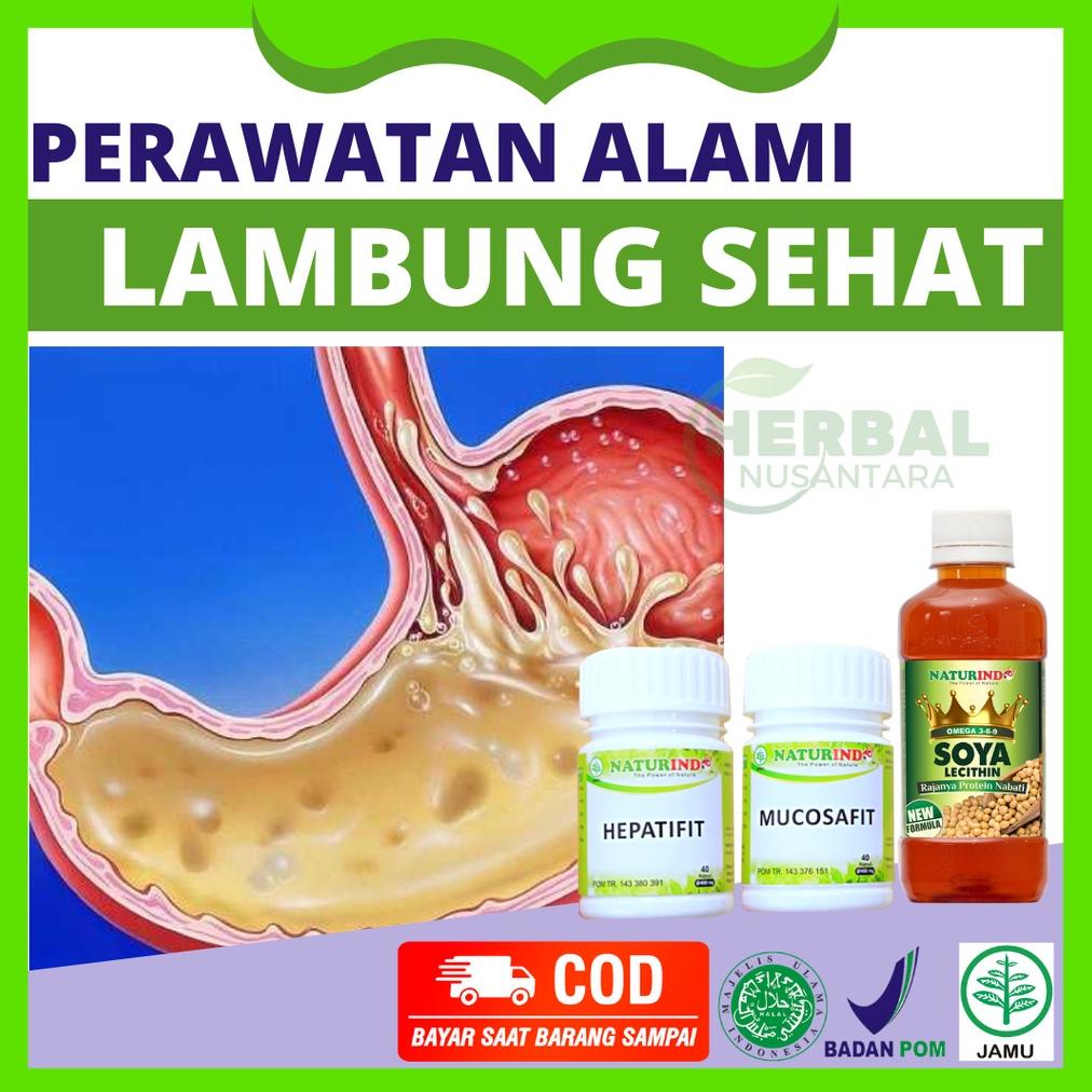 Obat Maag Sakit Maag Obat Asam Lambung Herbal Ampuh Obat Asam Lambung Obat Asam Lambung Kronis Asam 