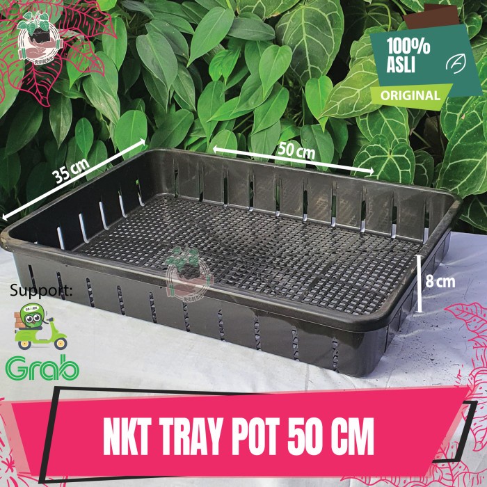 Tray Pot untuk Semai Bibit Benih Tanaman Hidroponik 50cm Trai NKT Original Nampan Alas Traypot untuk