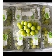 

anggur hijau 1pax kurleb 450-500gr
