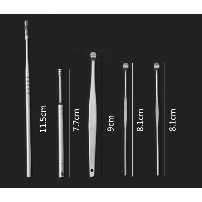 Alat Pembersih Telinga Set 6 In 1 Korek Kuping Stainless Steel Earpick