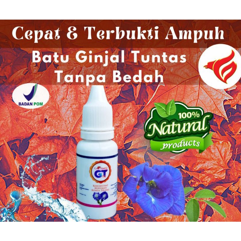 Konsentrat Minuman Bunga Telang Garudaqu Tea GT Aman BPOM 15 ml