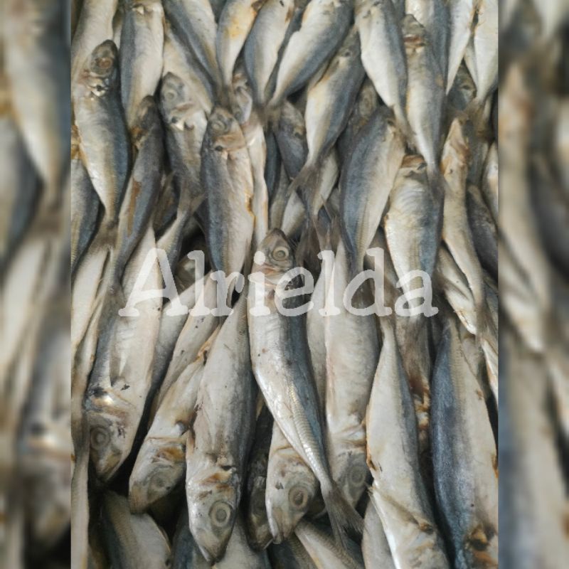 

IKAN ASIN PEDA JAPUH/LAYANG 500GRAM