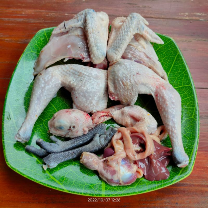 

Ayam Kampung Segar