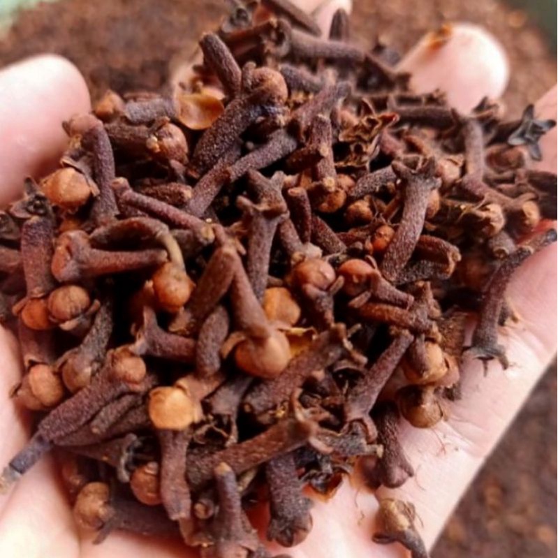 

CENGKEH PREMIUM / CLOVES / BUMBU MASAK / REMPAH JSR