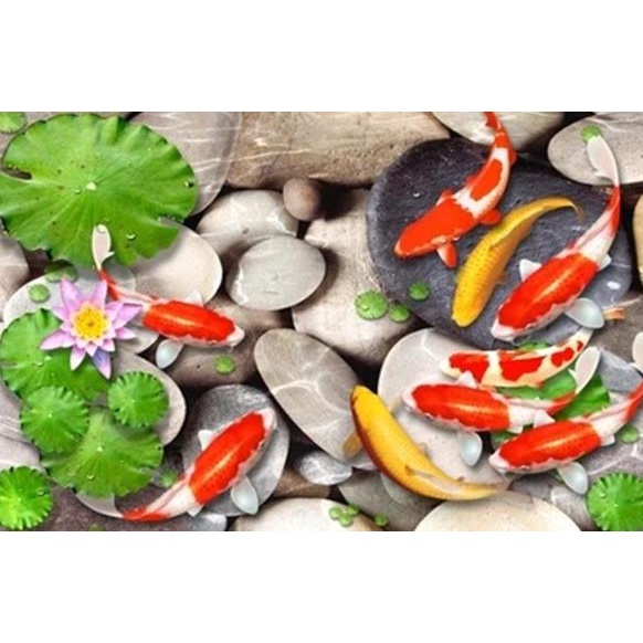 Wallpaper Dinding 3D Custom Murah Berkualitas Gambar Ikan Koi Asfitamarket