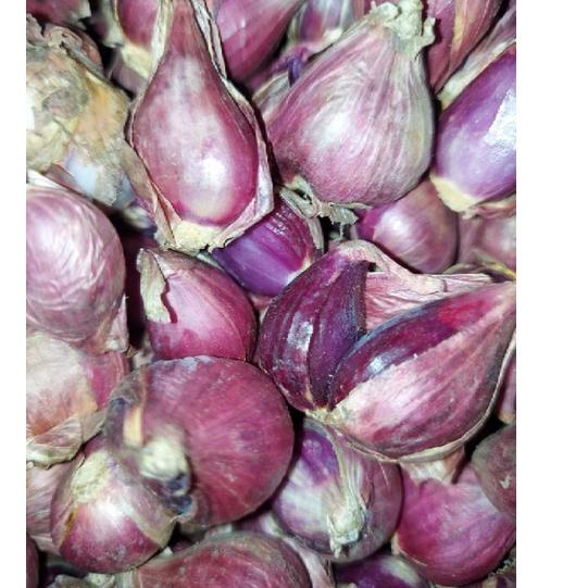 

Lariiss--BAWANG MERAH BREBES SUPER BESAR1KG