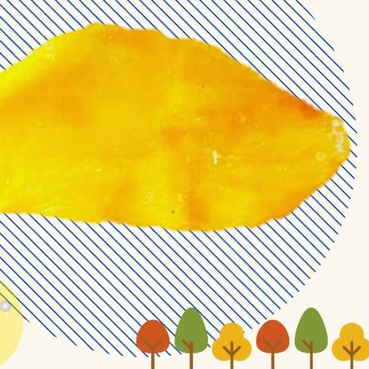 

COD✔️Buah Mangga Madu Kering Thailand / Honey Mango / Manisan Buah Manga Kering|SQ2