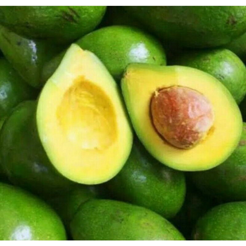 

buah alpukat 1kg