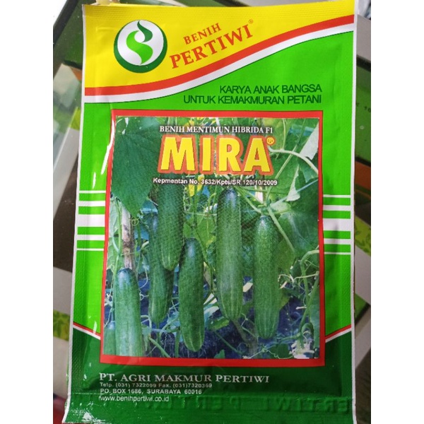 Bibit Benih Timun MIRA benih pertiwi expired 2027