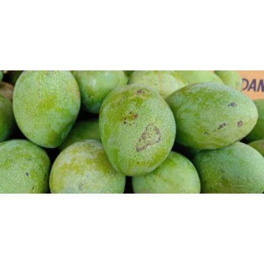 

limited STOCK!Mangga Manalagi untuk harga 1kg (isi 3-4 biji)|SQ8