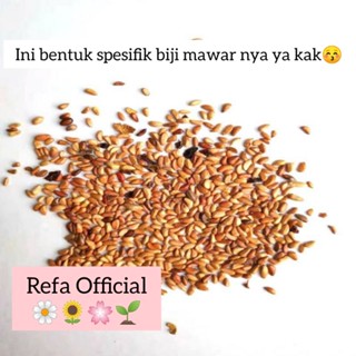 Jual Refa Paket Biji Bunga Mawar Isi Jenis Campur Atau Mix Siap