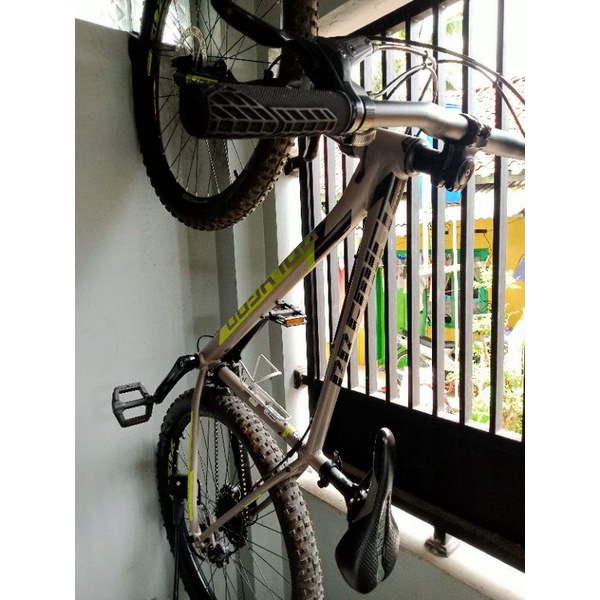 Polygon Premier 5 2021