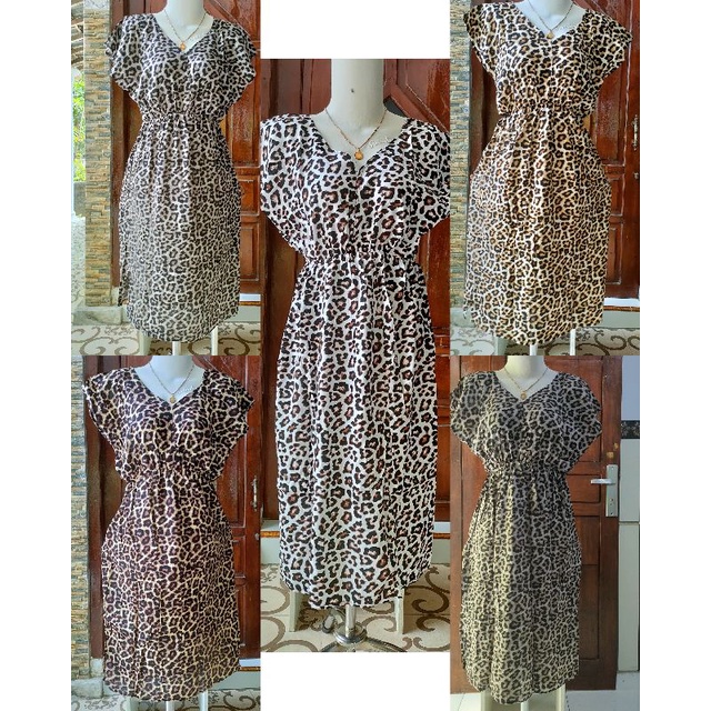 DASTER LEOPARD