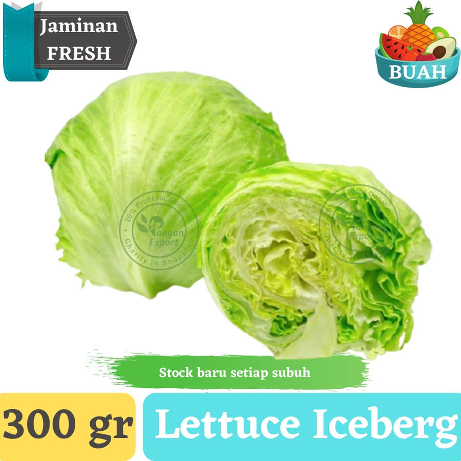 

Lettuce Iceberg | Lettuce Salad Fresh