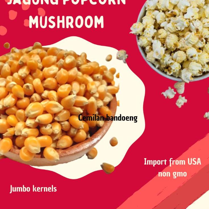 

artTt0T4--Jagung popcorn Mushroom kemasan 1 kg EXP FEB 2024