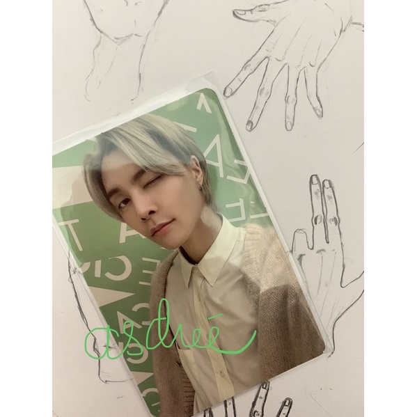 johnny nature republic cica tree photocard official