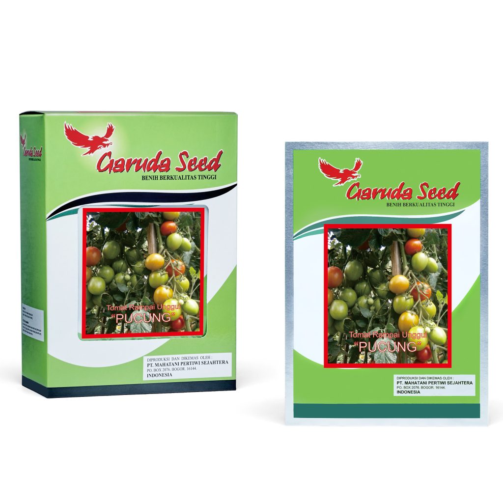 (1 PACK) Benih Tomat Rampai Unggul PUCUNG Seeds - Garuda Seed - 5 GRAM