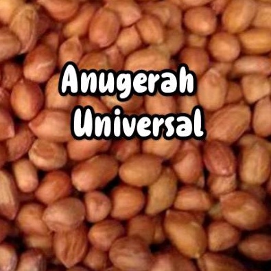 

Kacang Tanah Tuban (REPACK)