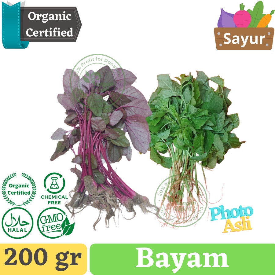 

Bayam Spinach Organik / Buah Bumbu Sayur Masak by Pangan Export