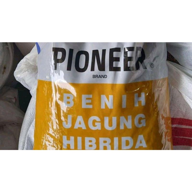 BIBIT JAGUNG PIONEER P32 SINGAN