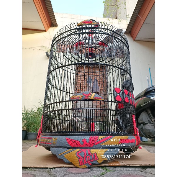 Sangkar Murai Radja 3D Carbon GOLD