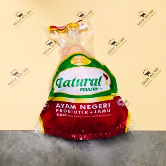 

Ayam Negri Organik Probiotik Natural Poultry Williammeatshop