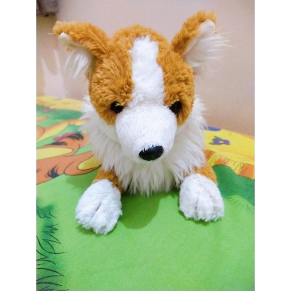 Boneka Guguk/Dog Corgi Sunlemon