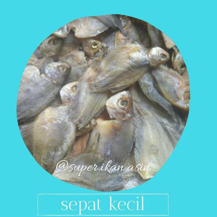 

Terbaik IKAN ASIN SEPAT KECIL 250gr !!