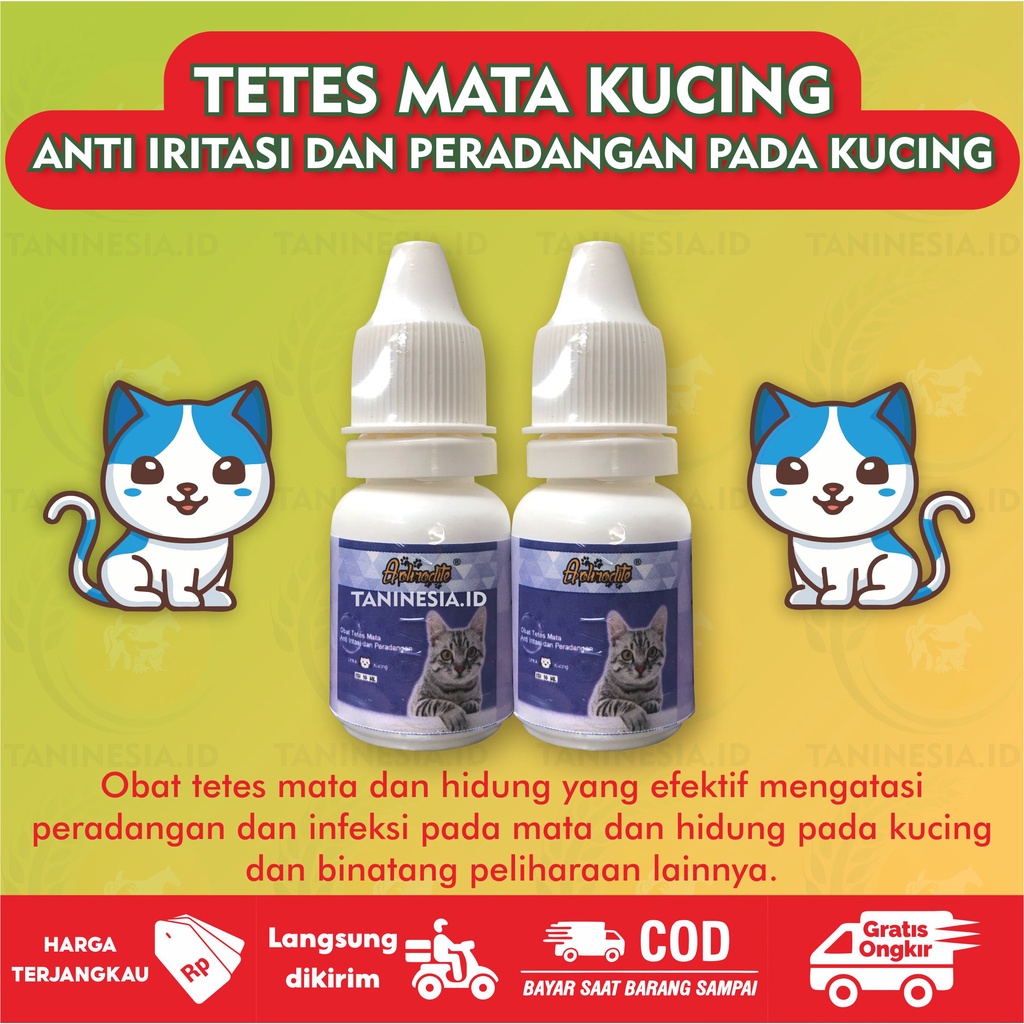 OBAT TETES MATA KUCING BELEKAN DAN BERAIR BERSELAPUT TETES MATA KITTEN BENGKAK SELAPUT PUTIH 10ML