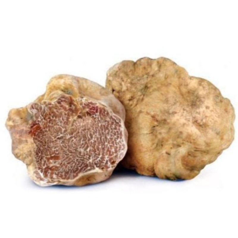 Jual Jamur Truffle Putih Premium Quality 250g Shopee Indonesia