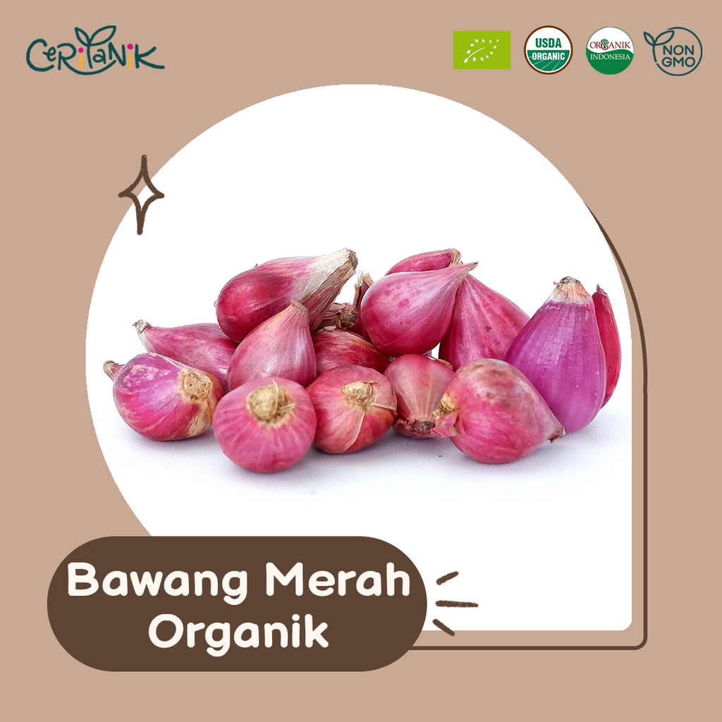 

Bawang Merah Organik 250 gram - Ceritanik - Rempah Organik Murah - Rempah Organik Sehat - Rempah Organik Premium